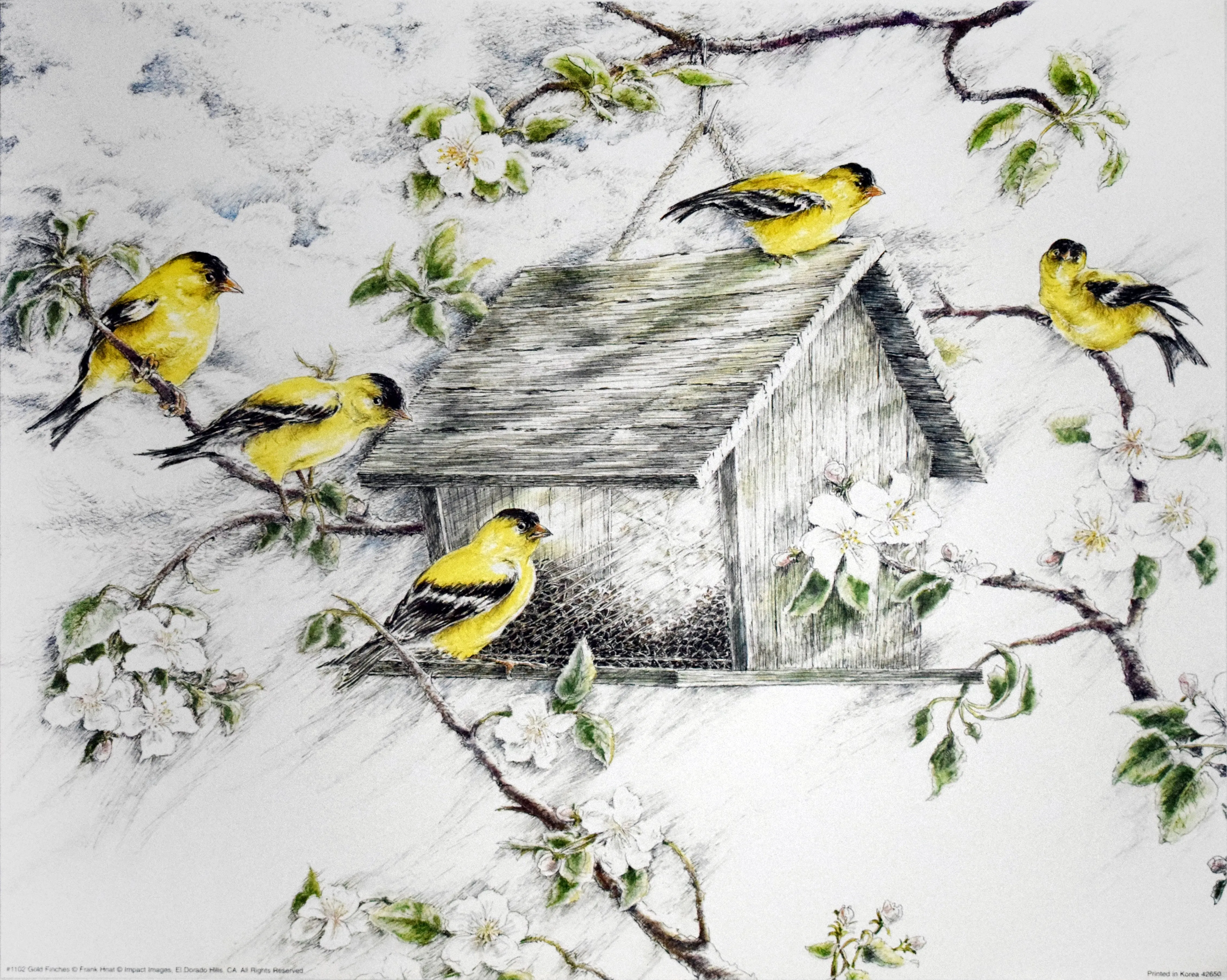 Gold Finches by Frank Hnat