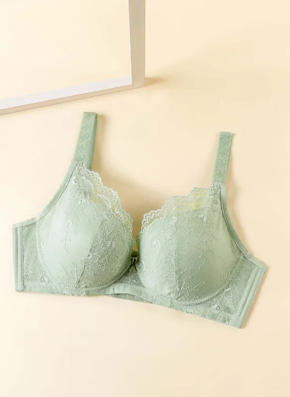 Sheen Luxe 2 Full Cup Lace Bra S10-29890